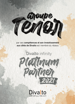 Divlato platinum partner