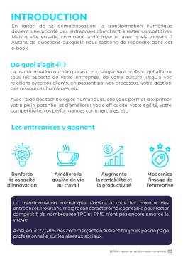 Ebook transformation numérique extrait